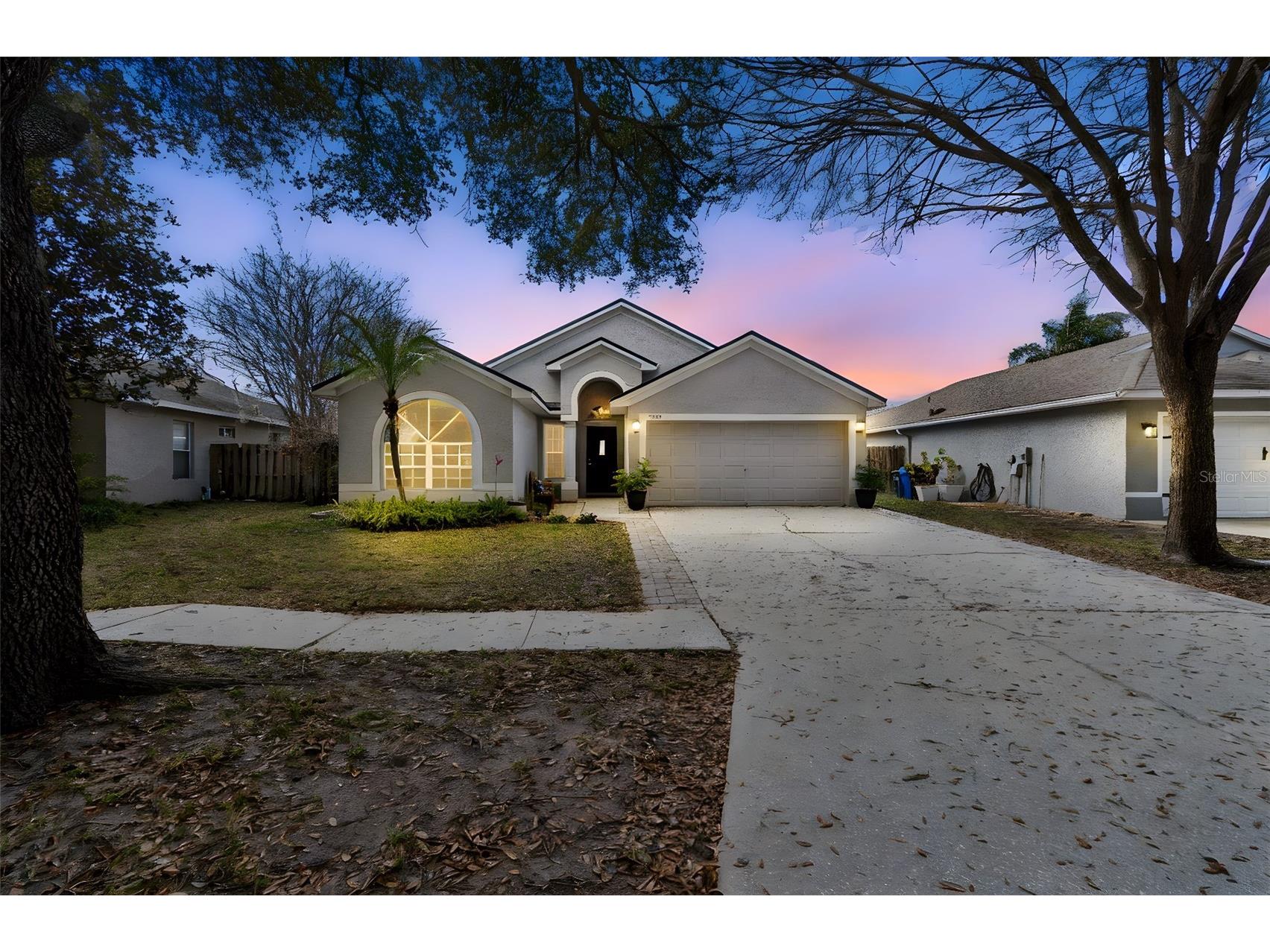 19427 Morden Blush Drive Lutz FL 33558 TB8478562 image1