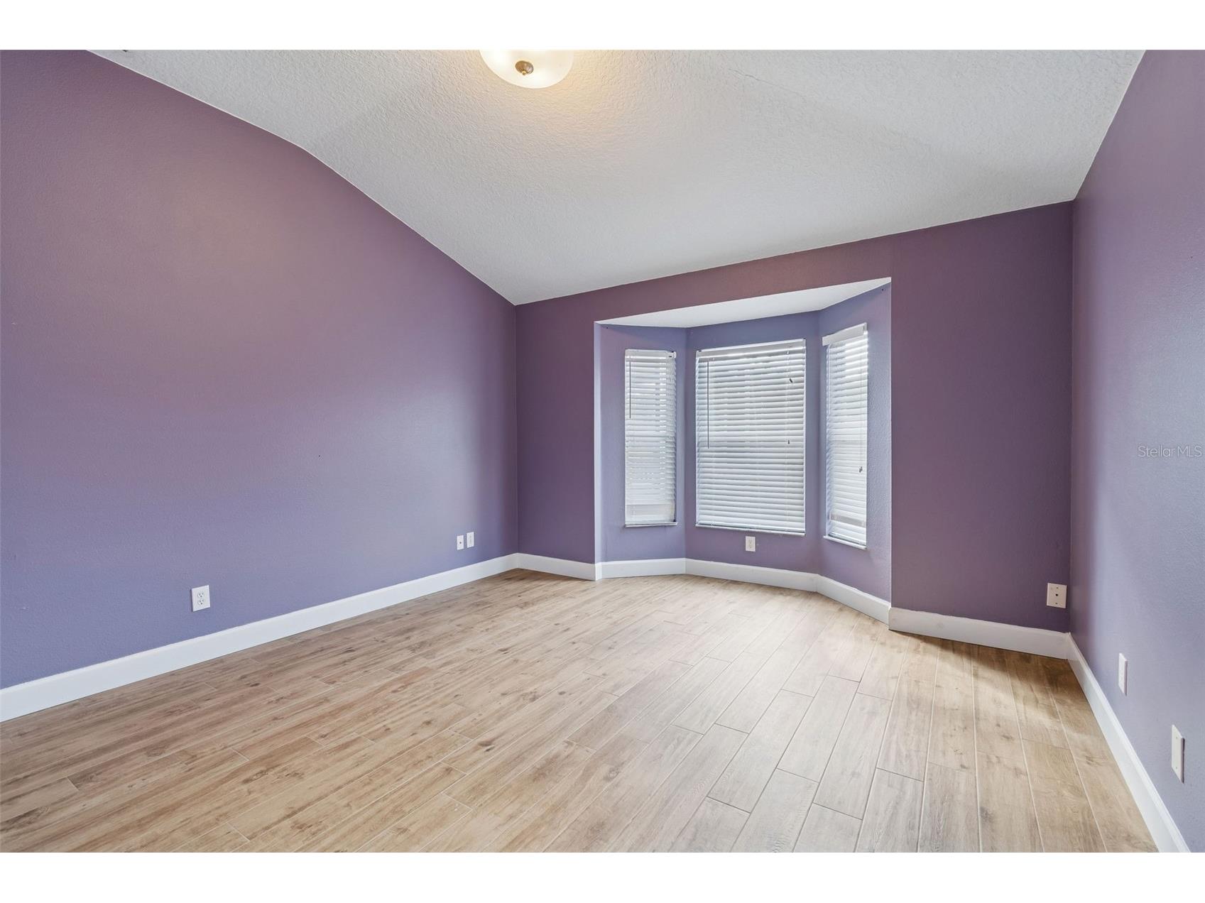 19427 Morden Blush Drive Lutz FL 33558 TB8478562 image33