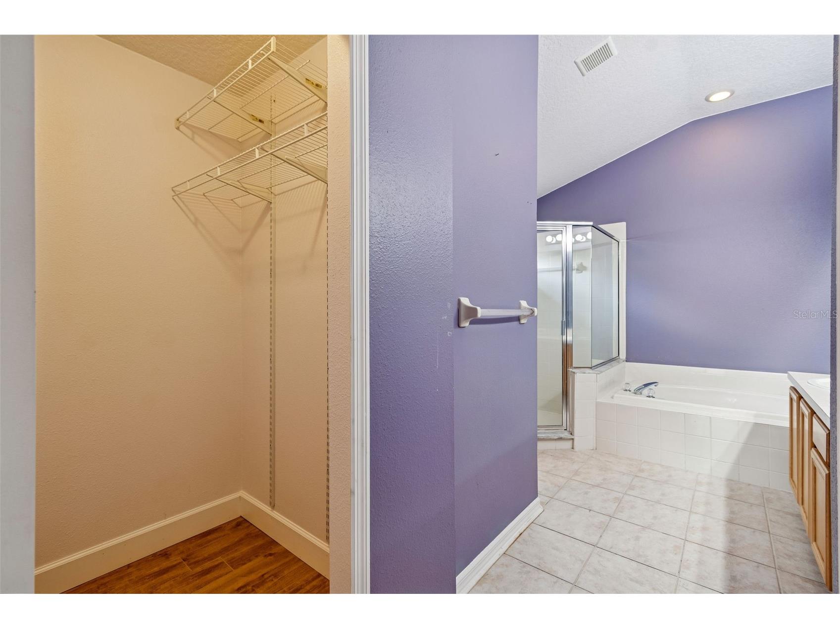 19427 Morden Blush Drive Lutz FL 33558 TB8478562 image34