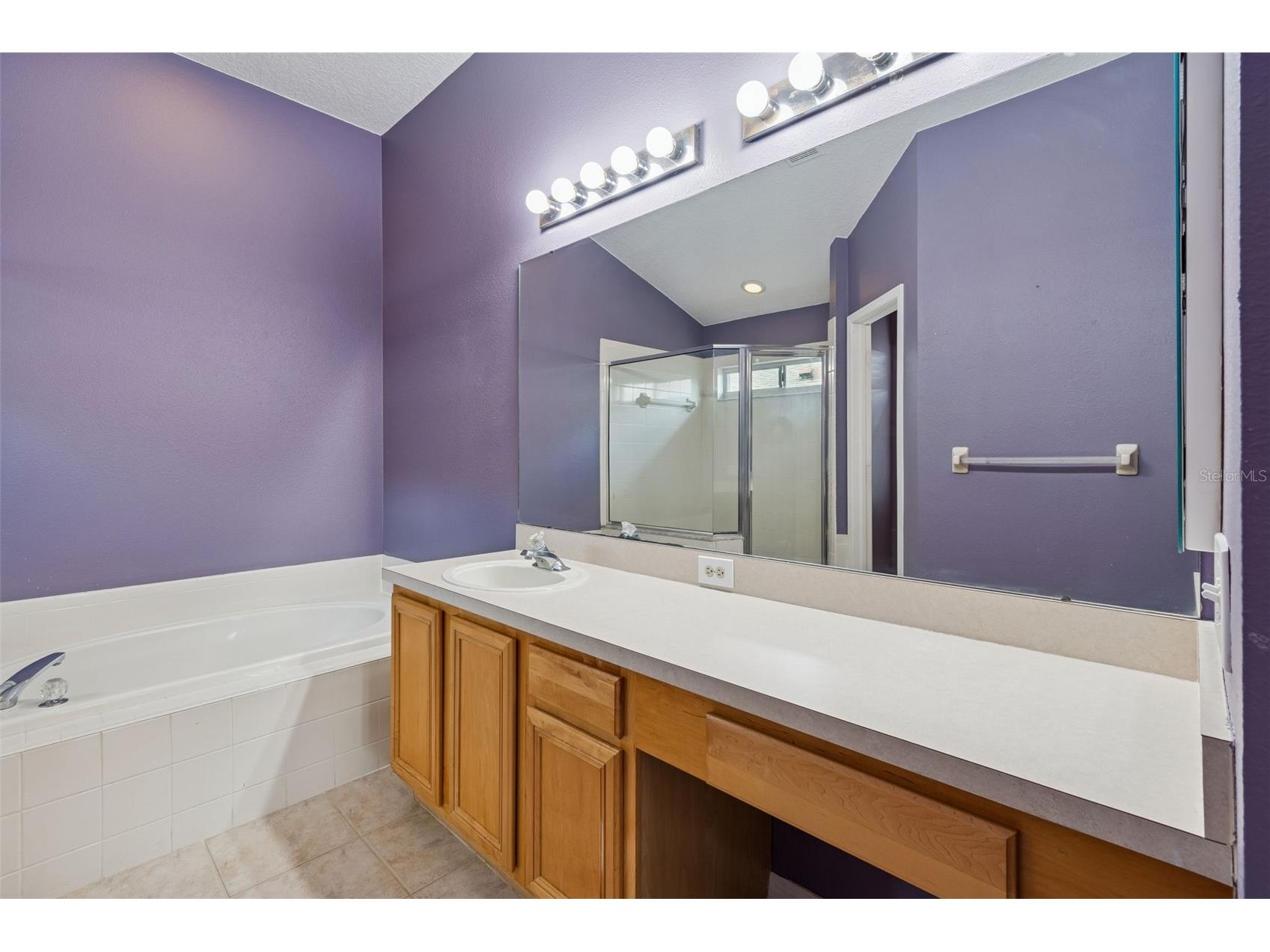 19427 Morden Blush Drive Lutz FL 33558 TB8478562 image35