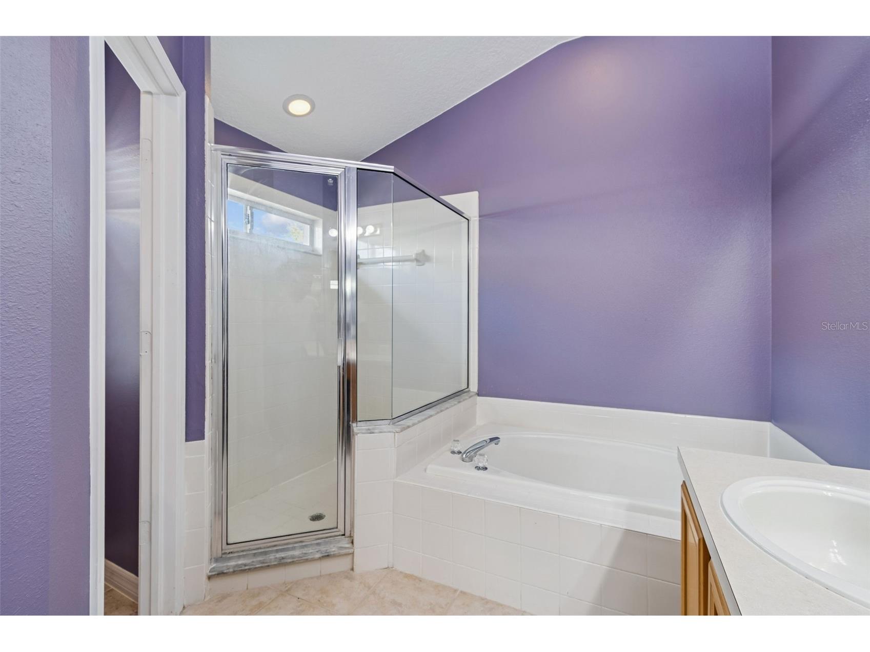 19427 Morden Blush Drive Lutz FL 33558 TB8478562 image36