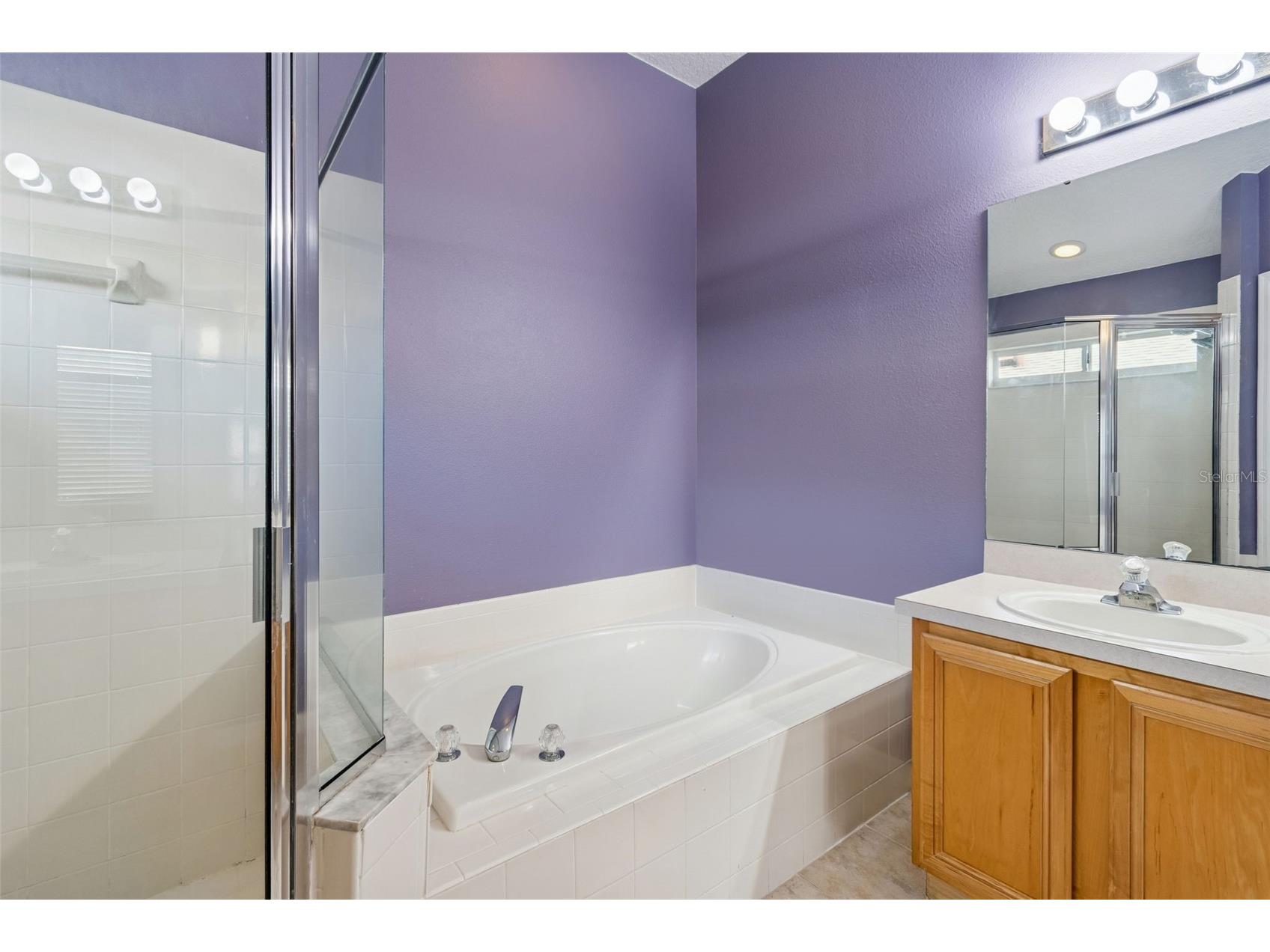 19427 Morden Blush Drive Lutz FL 33558 TB8478562 image37