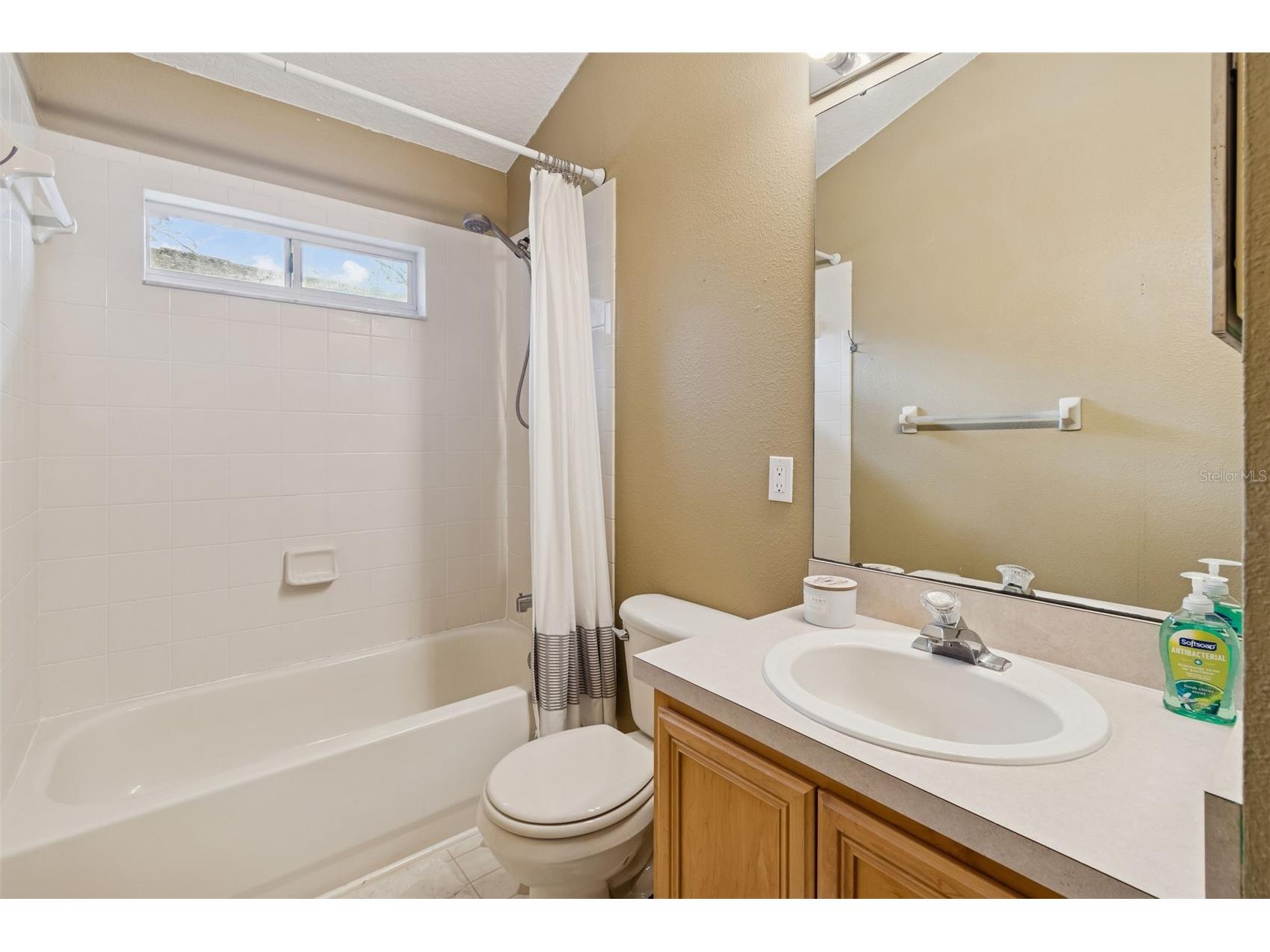 19427 Morden Blush Drive Lutz FL 33558 TB8478562 image38