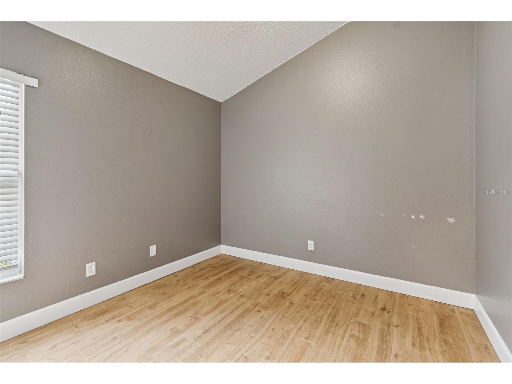 19427 Morden Blush Drive Lutz FL 33558 TB8478562 image39