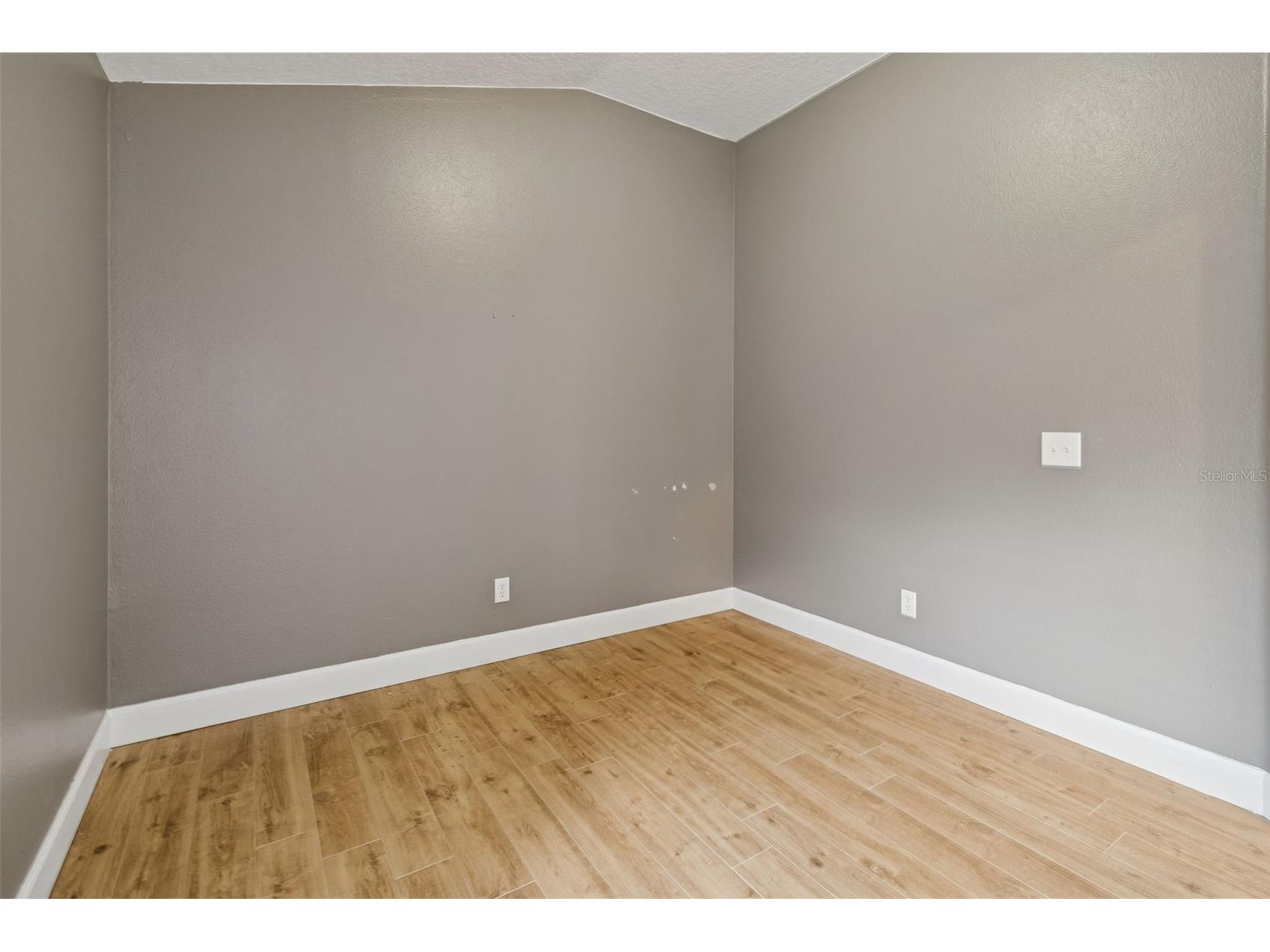 19427 Morden Blush Drive Lutz FL 33558 TB8478562 image41