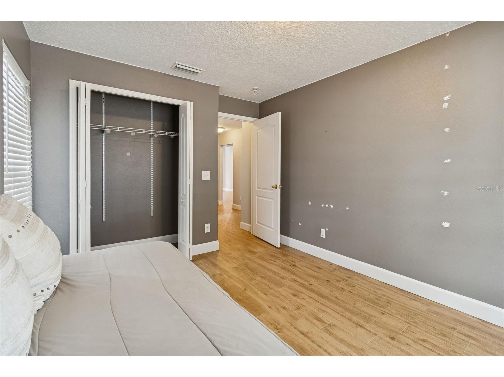 19427 Morden Blush Drive Lutz FL 33558 TB8478562 image44