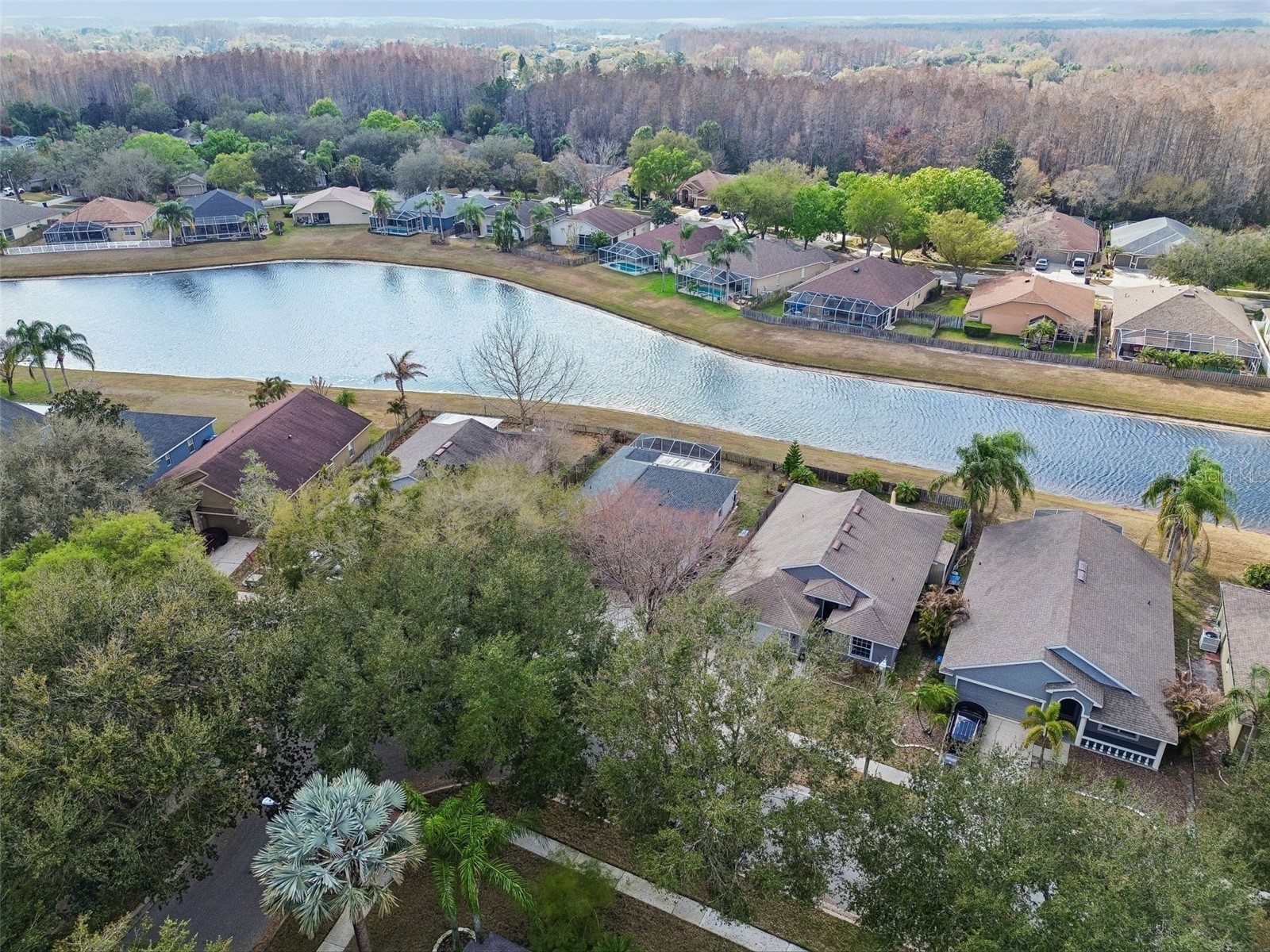 19427 Morden Blush Drive Lutz FL 33558 TB8478562 image57