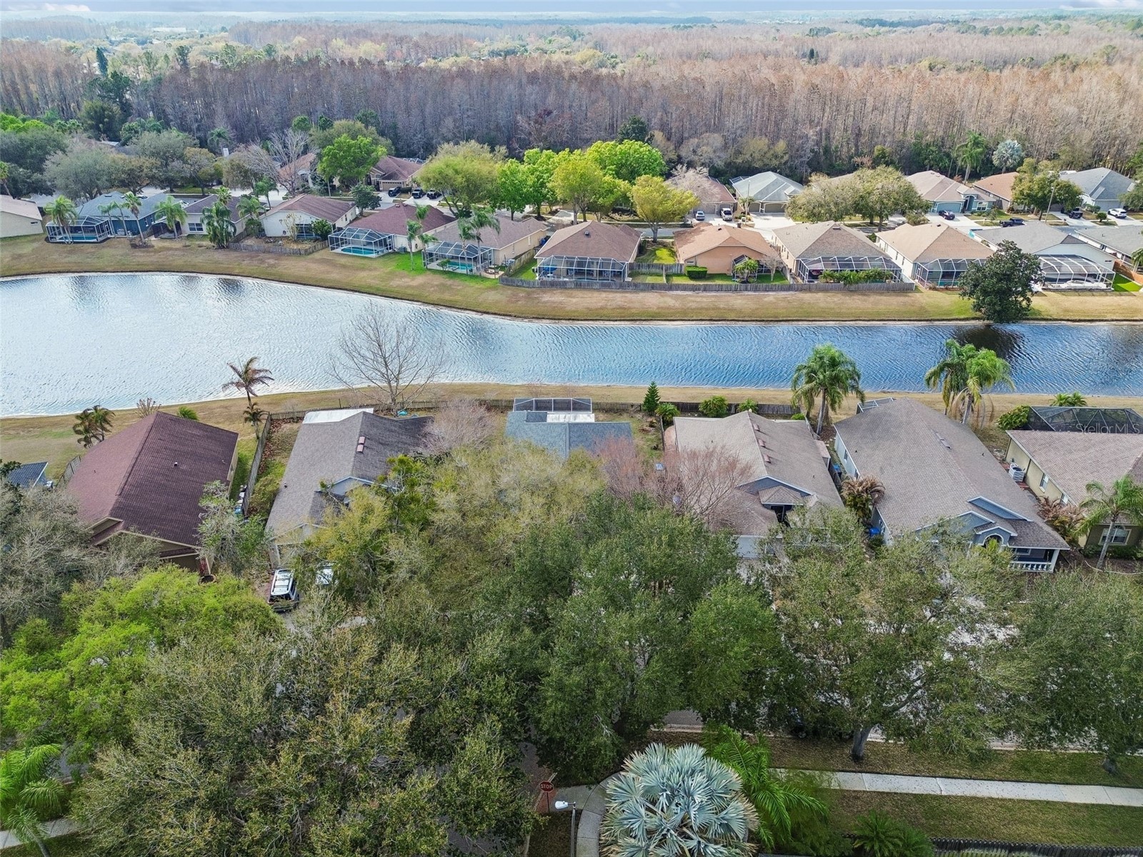 19427 Morden Blush Drive Lutz FL 33558 TB8478562 image58