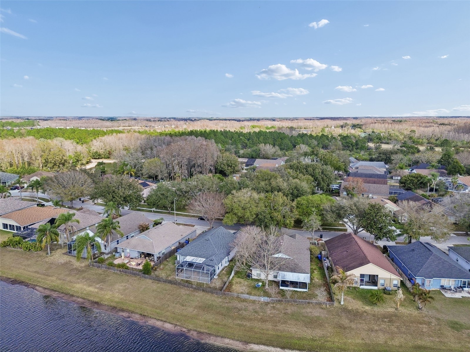19427 Morden Blush Drive Lutz FL 33558 TB8478562 image59