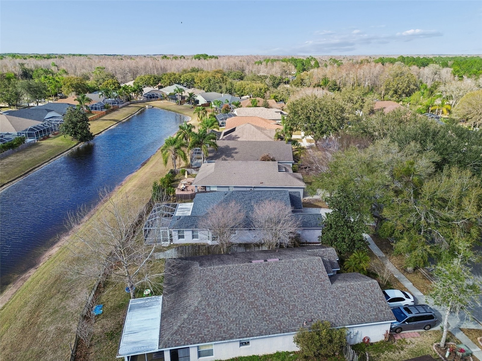 19427 Morden Blush Drive Lutz FL 33558 TB8478562 image62
