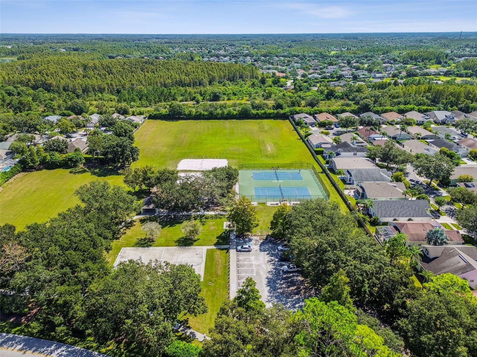 19427 Morden Blush Drive Lutz FL 33558 TB8478562 image66