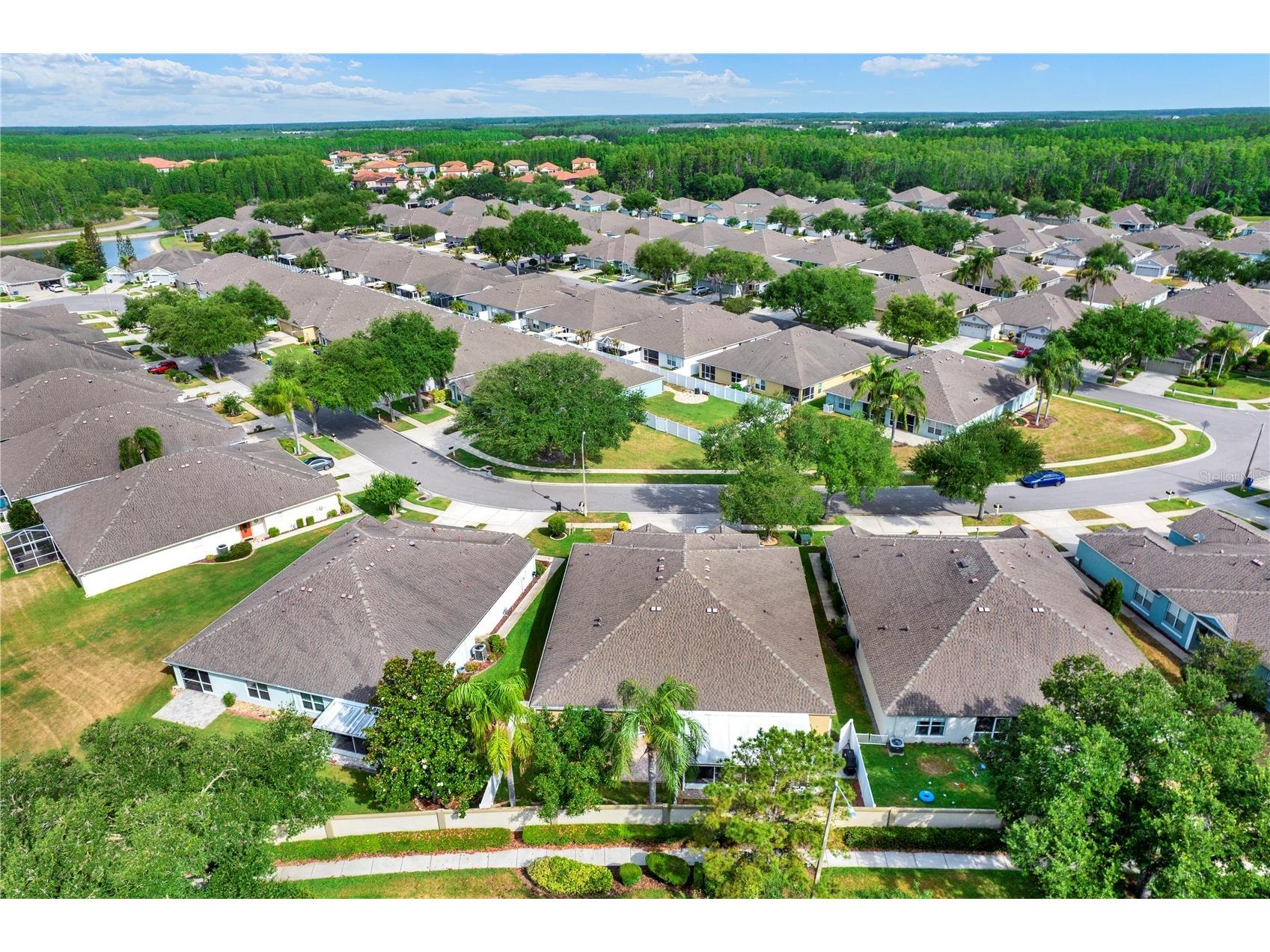 19428 Haskell Place Land O Lakes FL 34638 TB8505647 image27