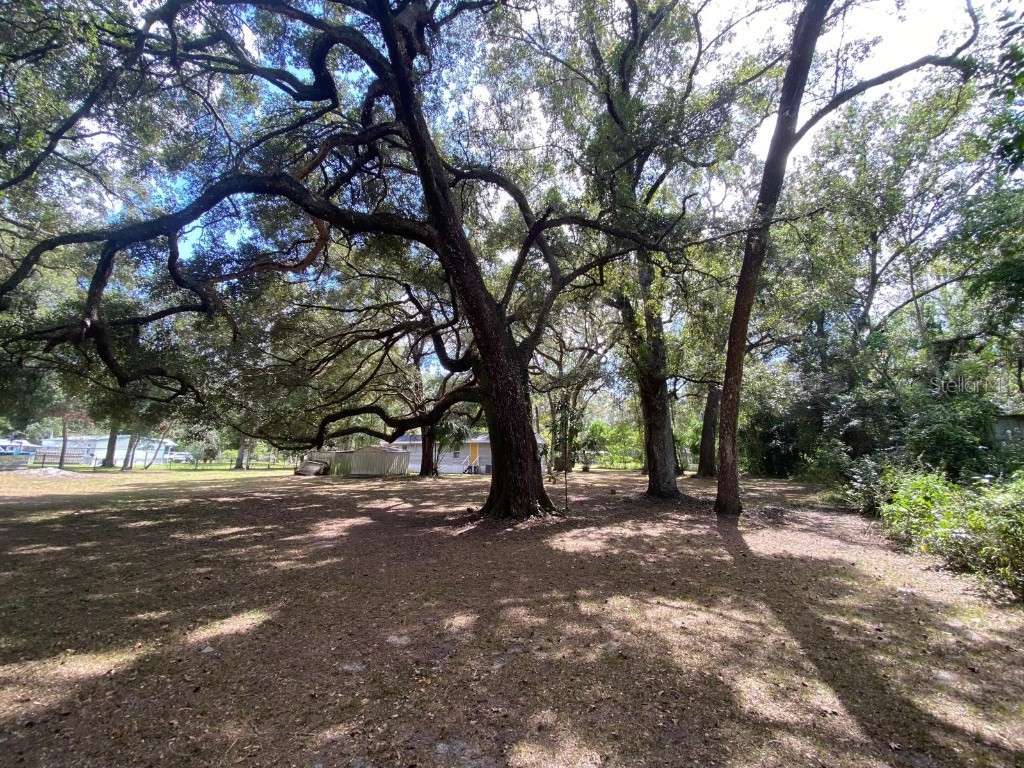 19429 Mccloy Circle Brooksville FL 34601 S5136354 image29