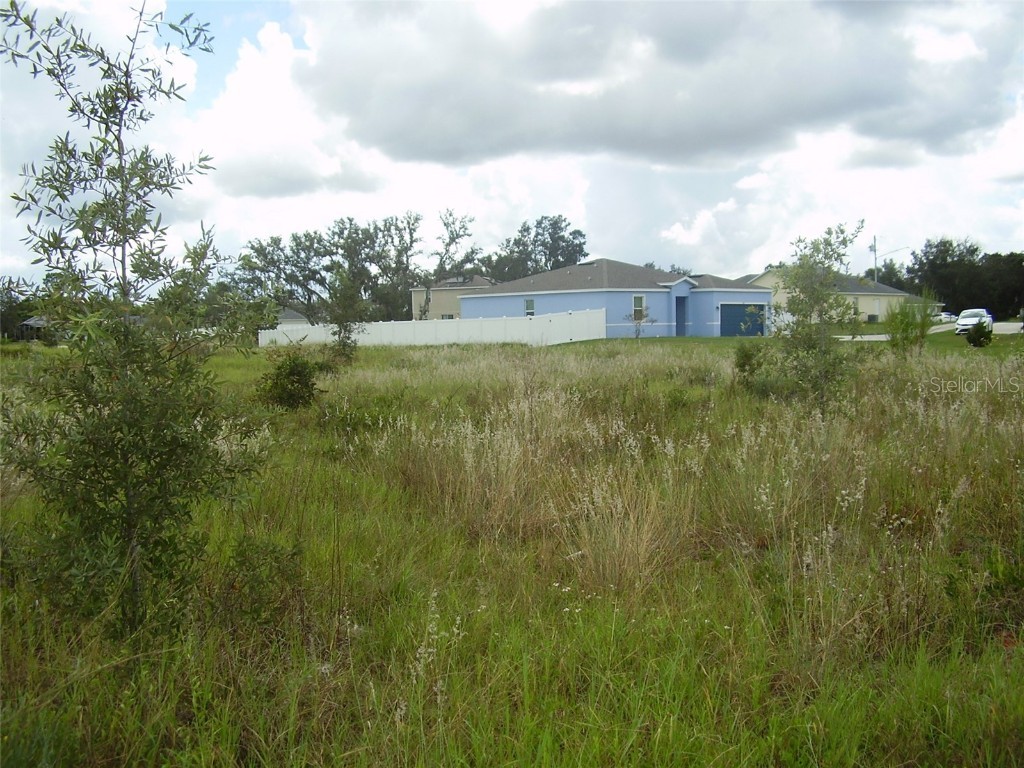 1943 Manatee Drive Kissimmee FL 34759 R4909991 image7