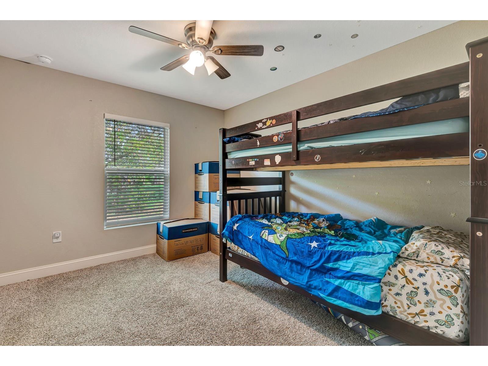 1943 W Elliott Street Lakeland FL 33805 TB8488521 image15