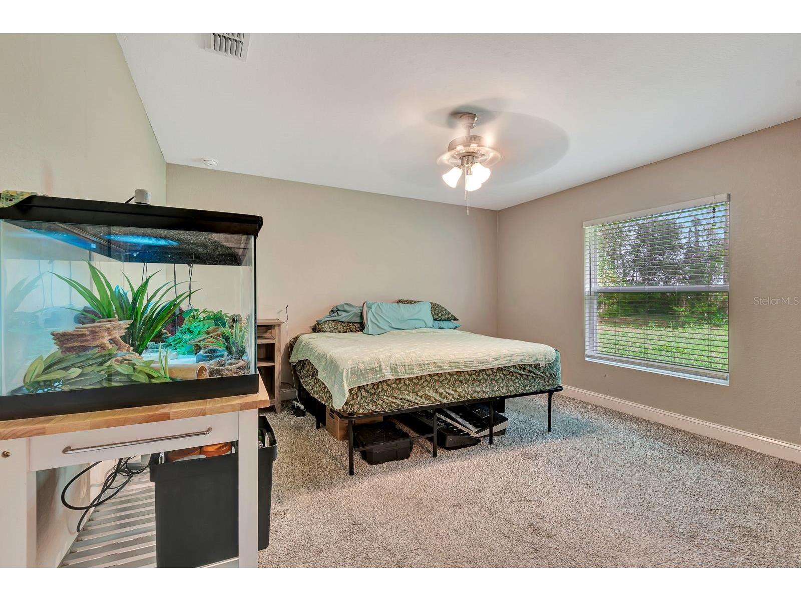 1943 W Elliott Street Lakeland FL 33805 TB8488521 image17