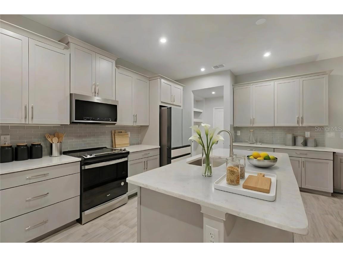 19431 Monarch Wind Way Lutz FL 33558 TB8460810 image3