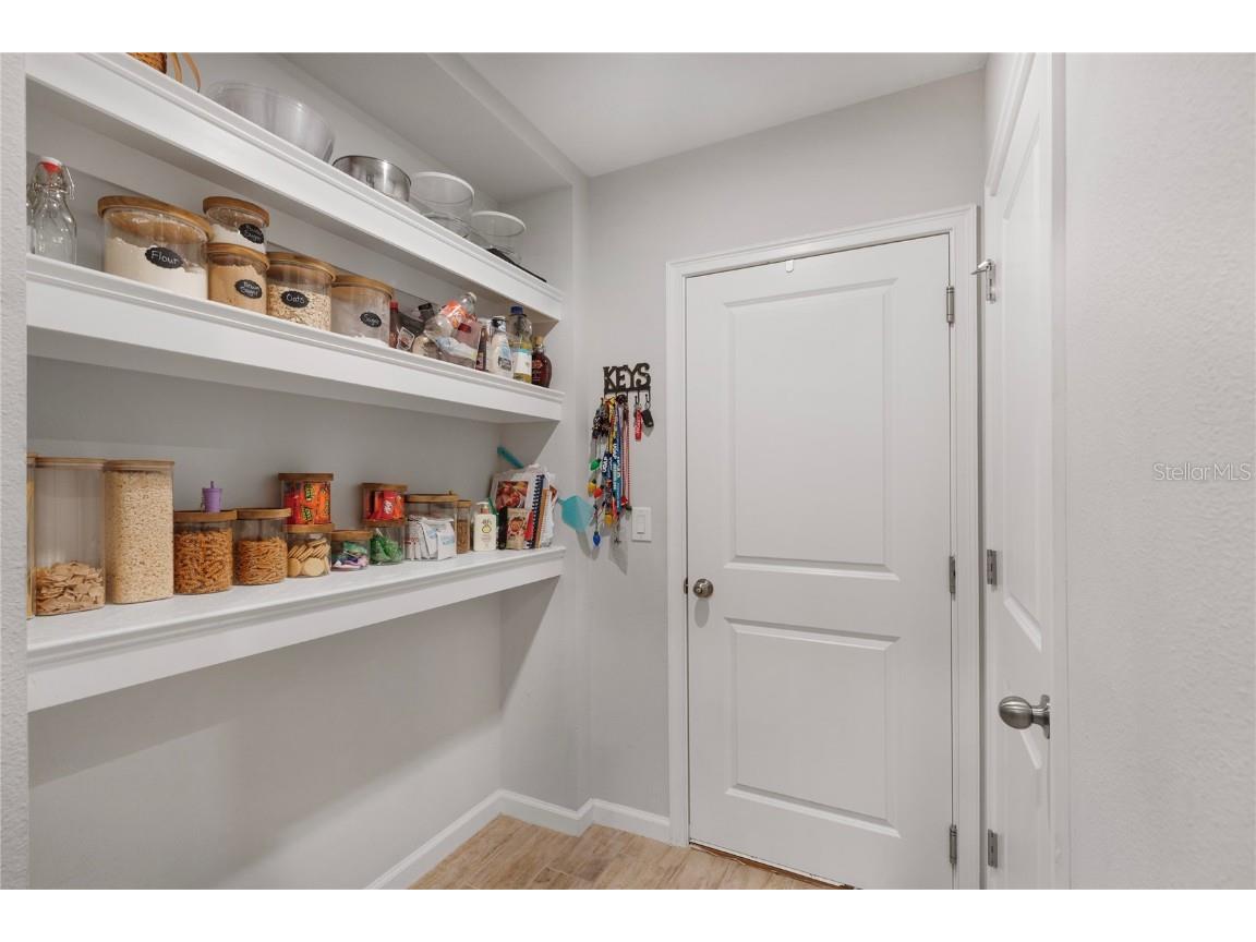 19431 Monarch Wind Way Lutz FL 33558 TB8460810 image4