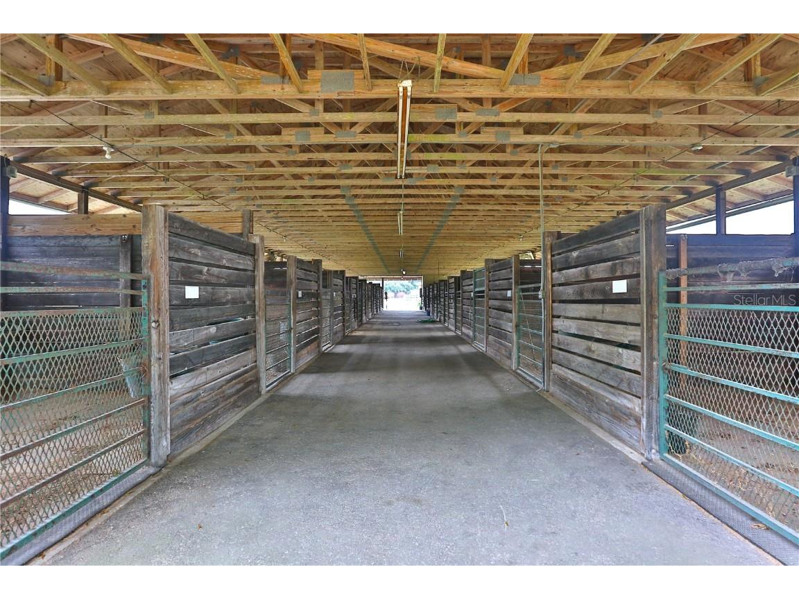 19431 NE 17th Place Williston FL 32696 OM679092 image46