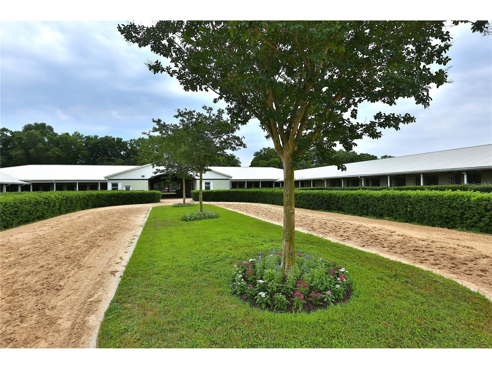 19431 NE 17th Place Williston FL 32696 OM726002 image21