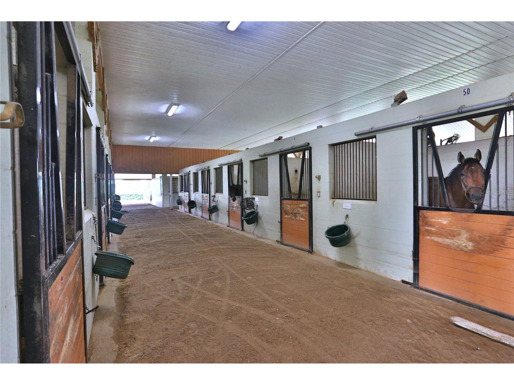 19431 NE 17th Place Williston FL 32696 OM726002 image4