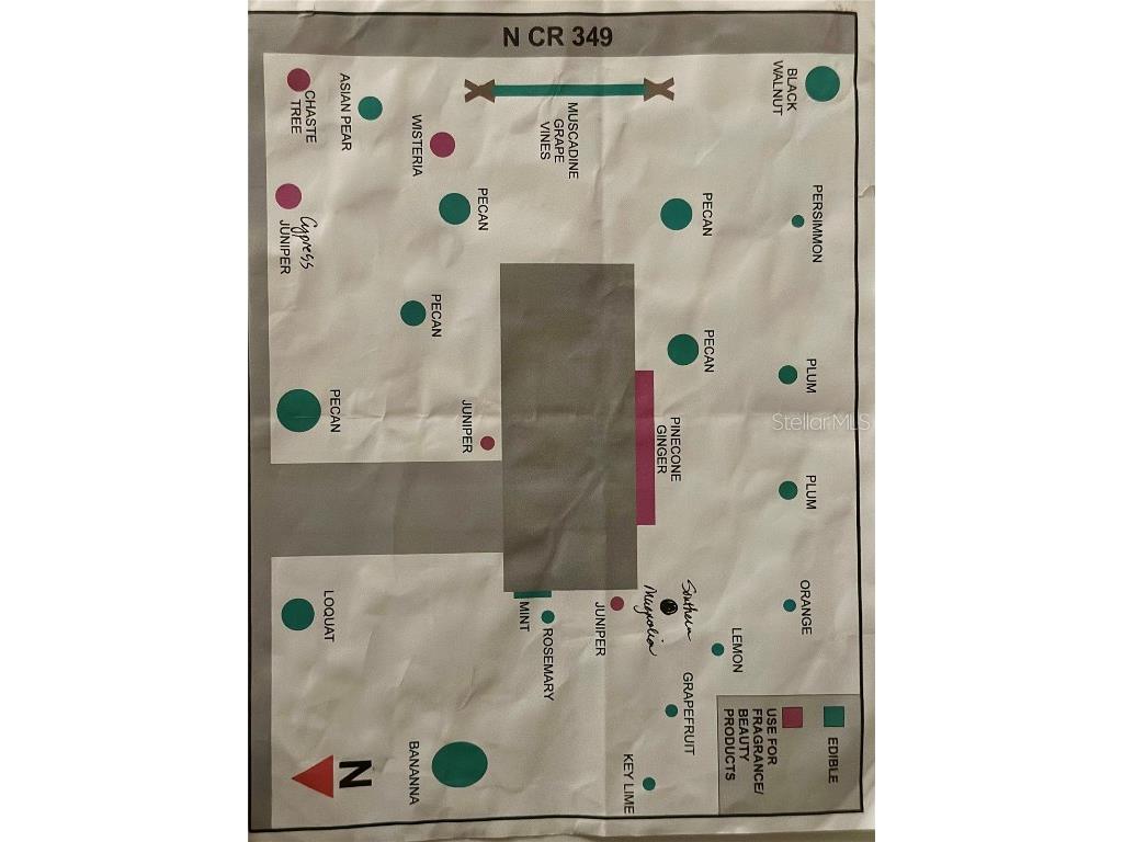 19433 N County Road 349 O'Brien FL 32071 TB8318665 image45