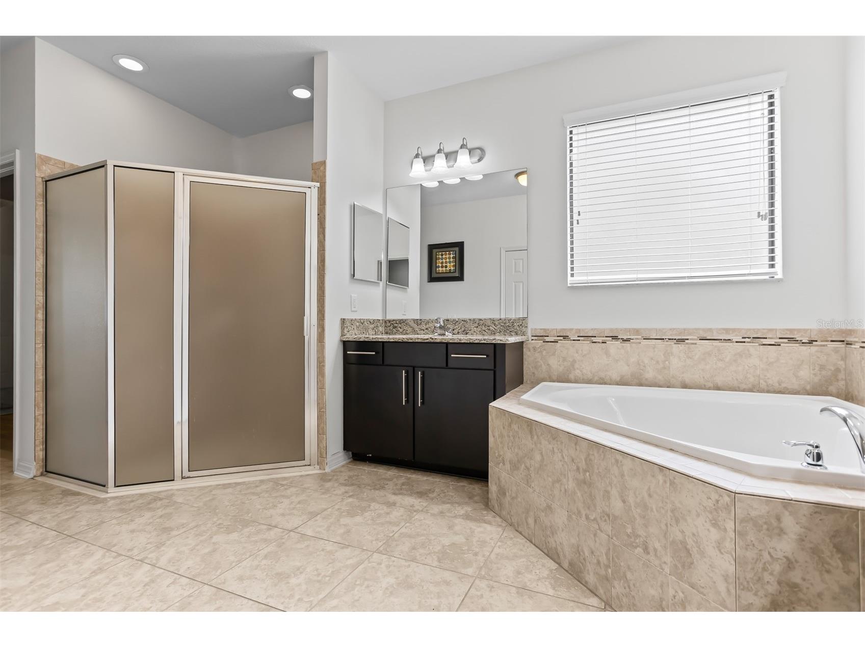 19433 Whispering Brook Drive Tampa FL 33647 TB8495994 image17