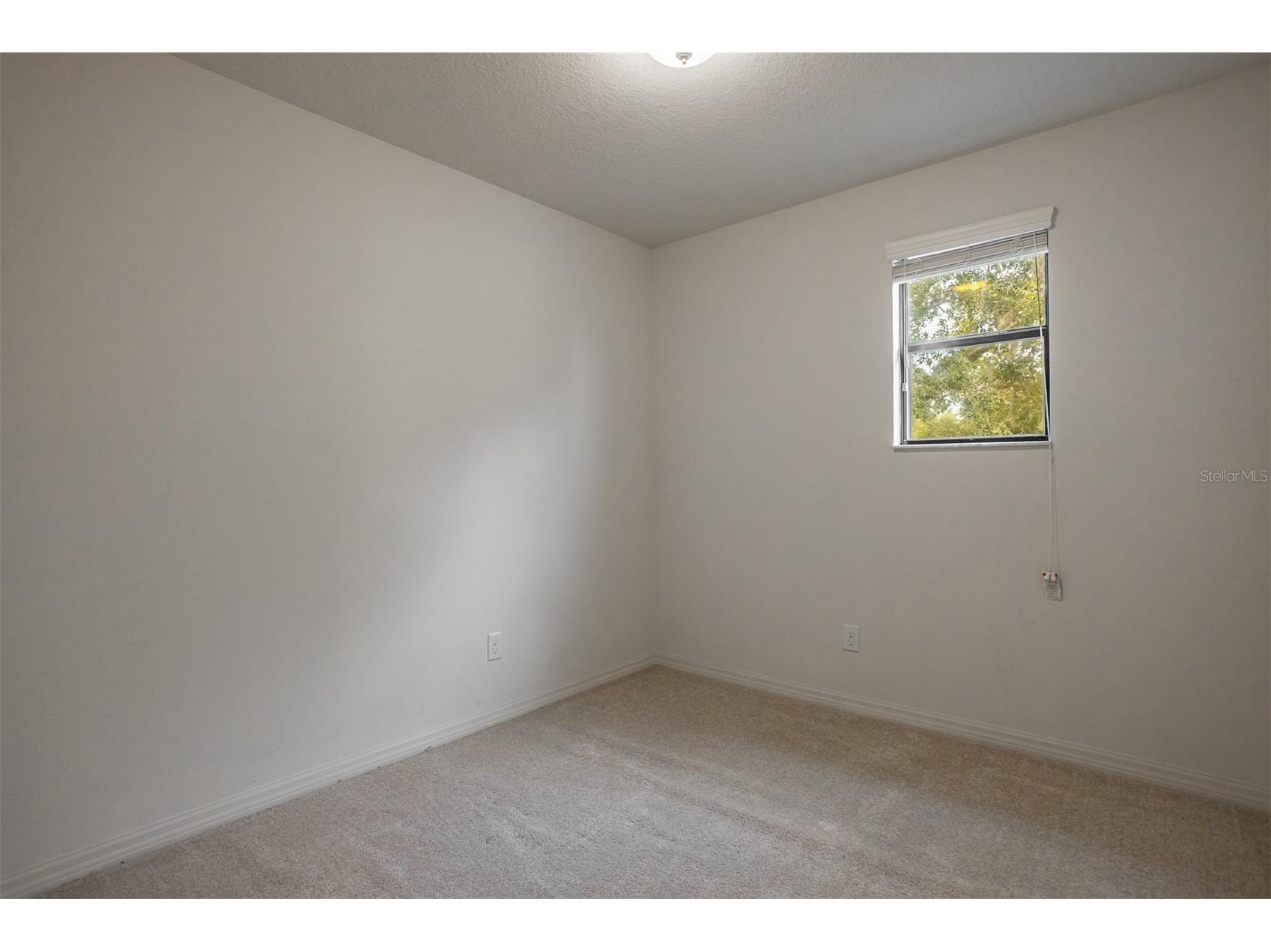 19433 Whispering Brook Drive Tampa FL 33647 TB8495994 image30