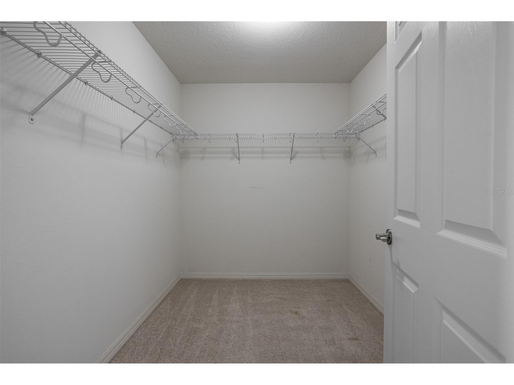 19433 Whispering Brook Drive Tampa FL 33647 TB8495994 image31