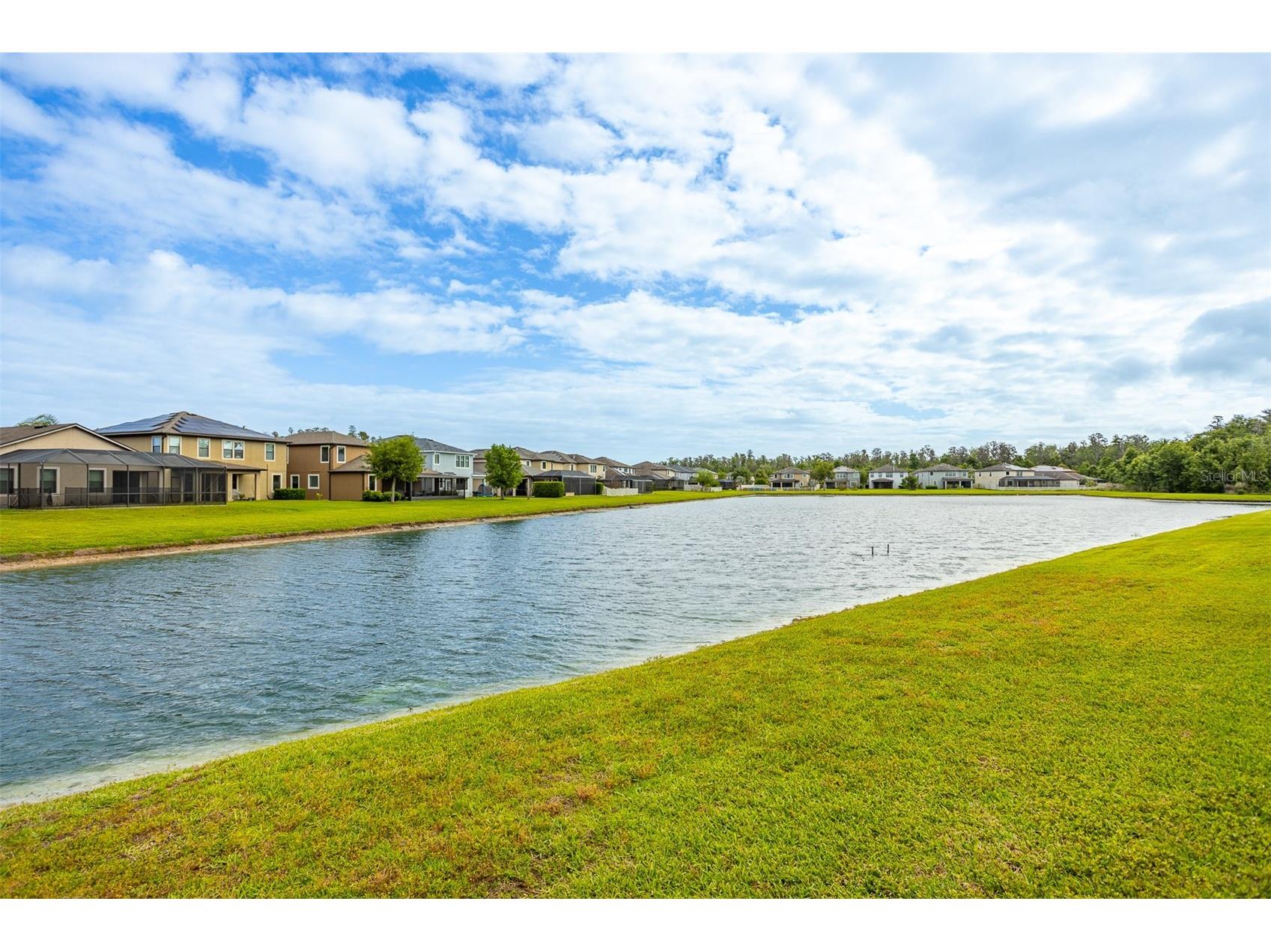 19433 Whispering Brook Drive Tampa FL 33647 TB8495994 image4