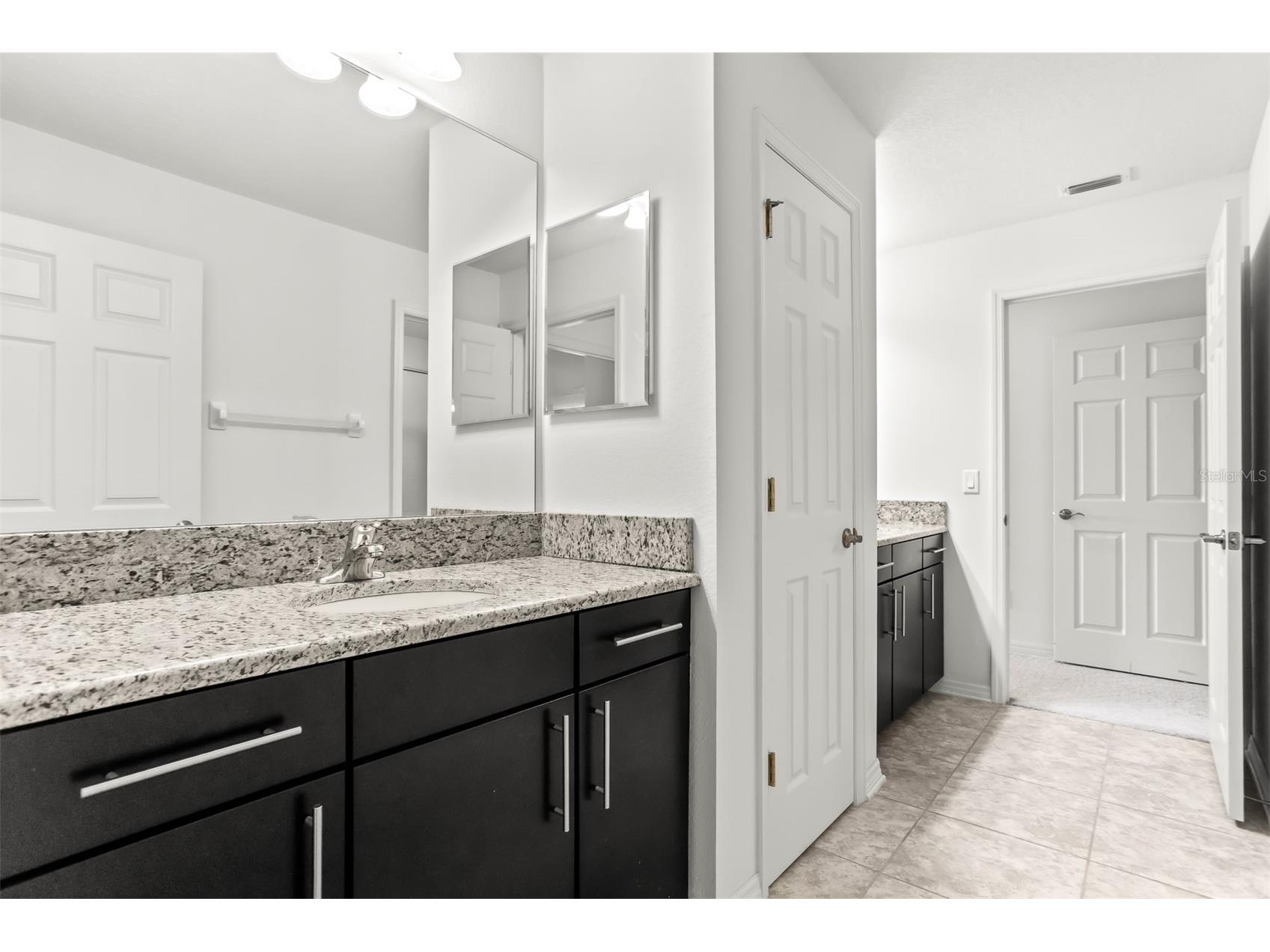 19433 Whispering Brook Drive Tampa FL 33647 TB8495994 image40