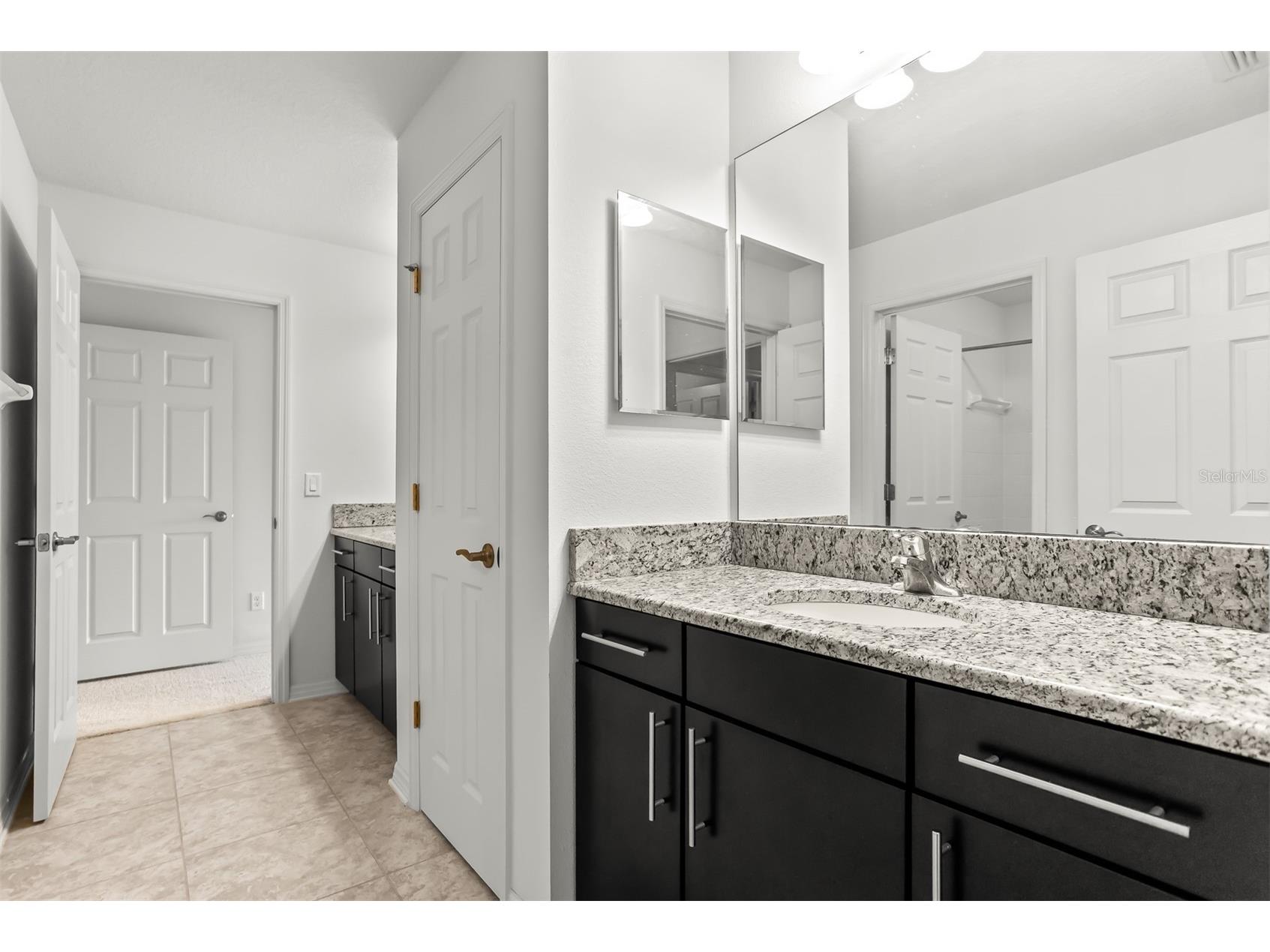 19433 Whispering Brook Drive Tampa FL 33647 TB8495994 image41