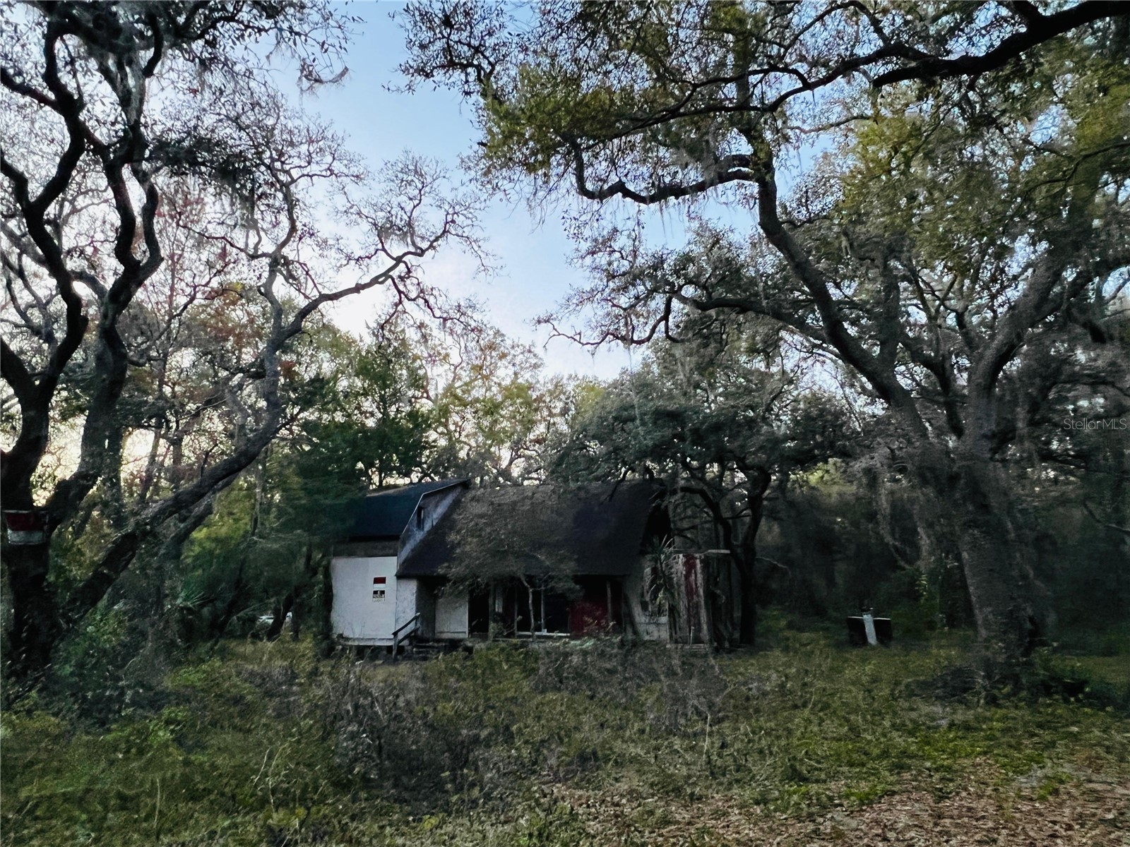 19435 SE 92nd Place Ocklawaha FL 32179 O6427491 image11