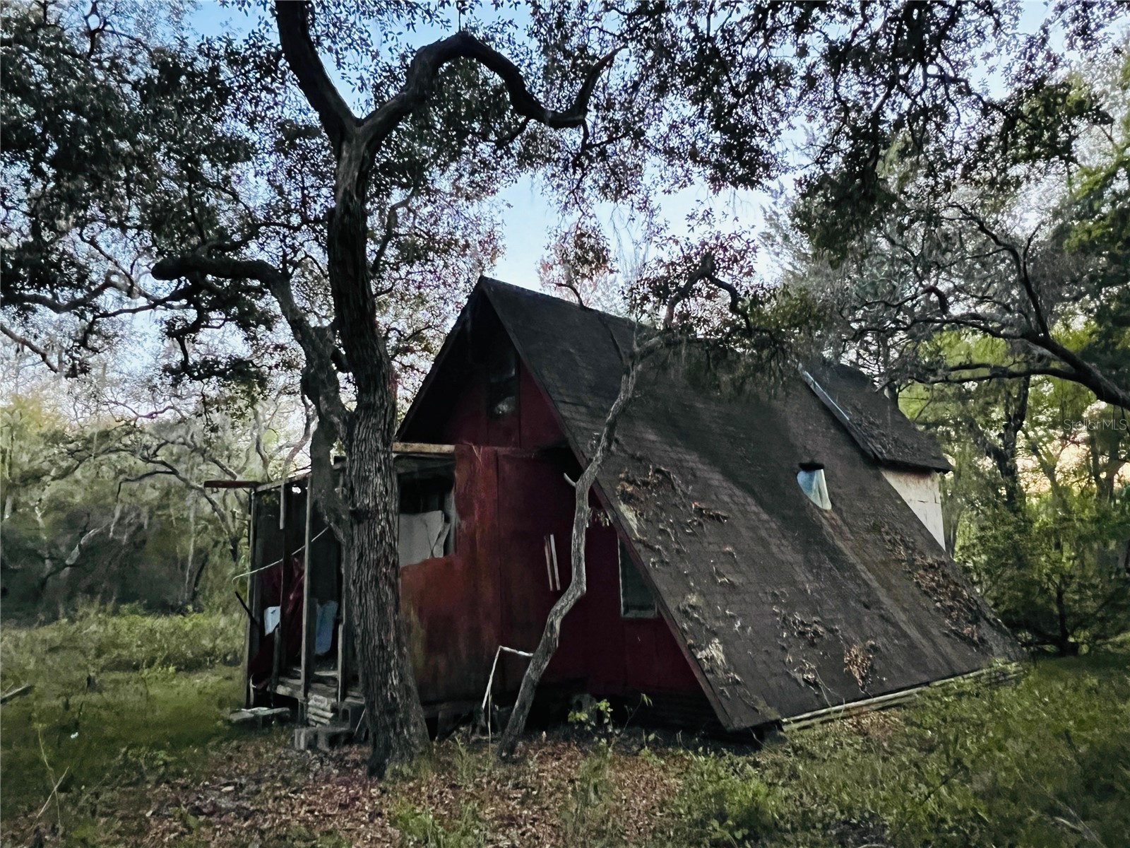19435 SE 92nd Place Ocklawaha FL 32179 O6427491 image4