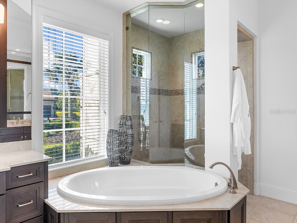 19436 Newlane Place Lakewood Ranch FL 34202 A4672950 image47