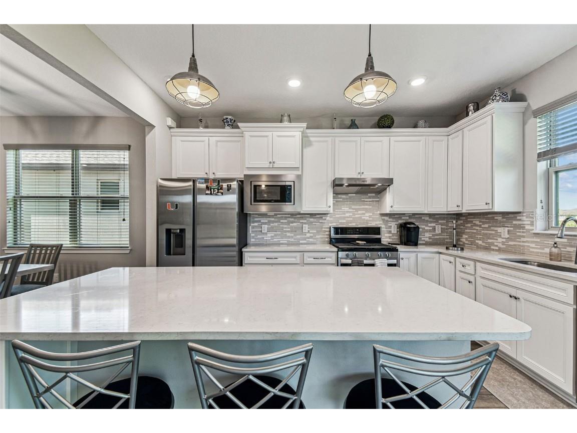 19437 Ship Wheel Way Land O Lakes FL 34638 TB8440339 image19