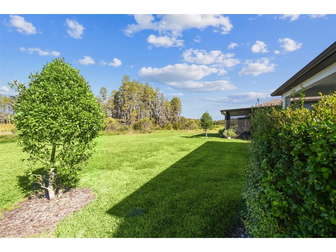 19437 Ship Wheel Way Land O Lakes FL 34638 TB8440339 image53