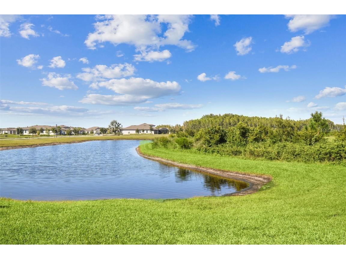 19437 Ship Wheel Way Land O Lakes FL 34638 TB8440339 image54