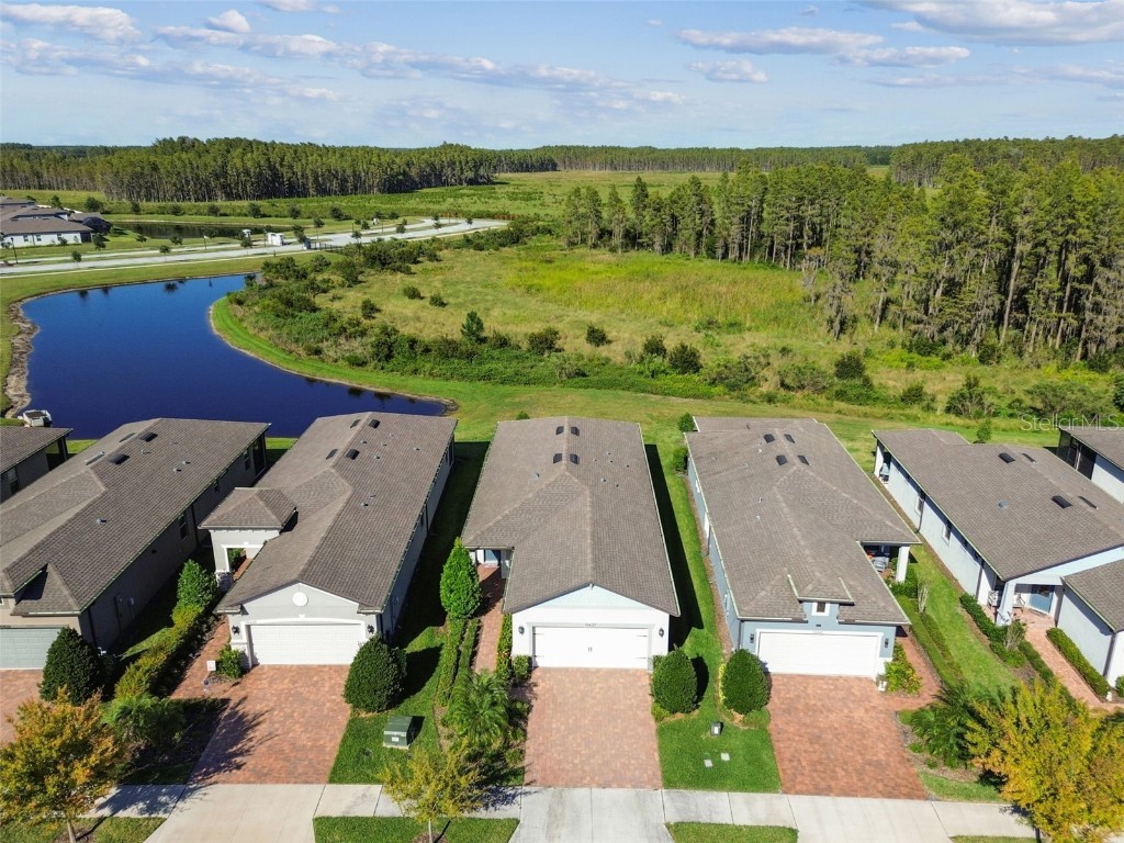 19437 Ship Wheel Way Land O Lakes FL 34638 TB8440339 image61