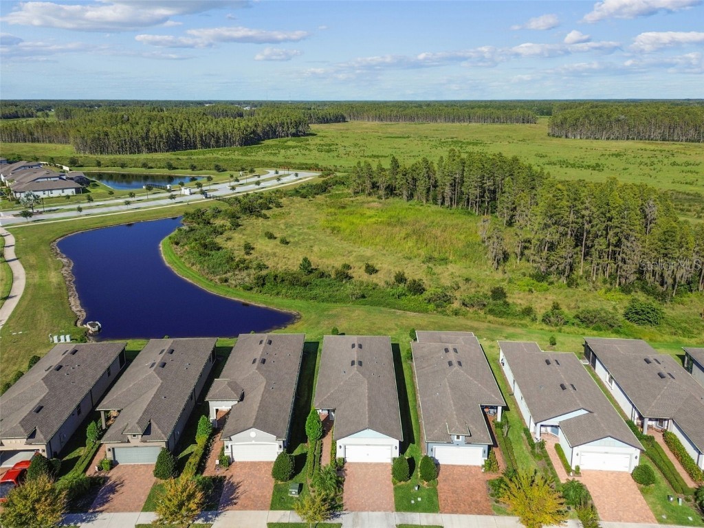 19437 Ship Wheel Way Land O Lakes FL 34638 TB8440339 image64