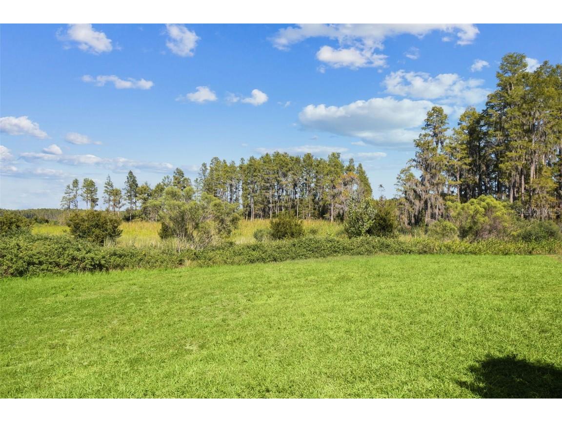 19437 Ship Wheel Way Land O Lakes FL 34638 TB8440932 image54