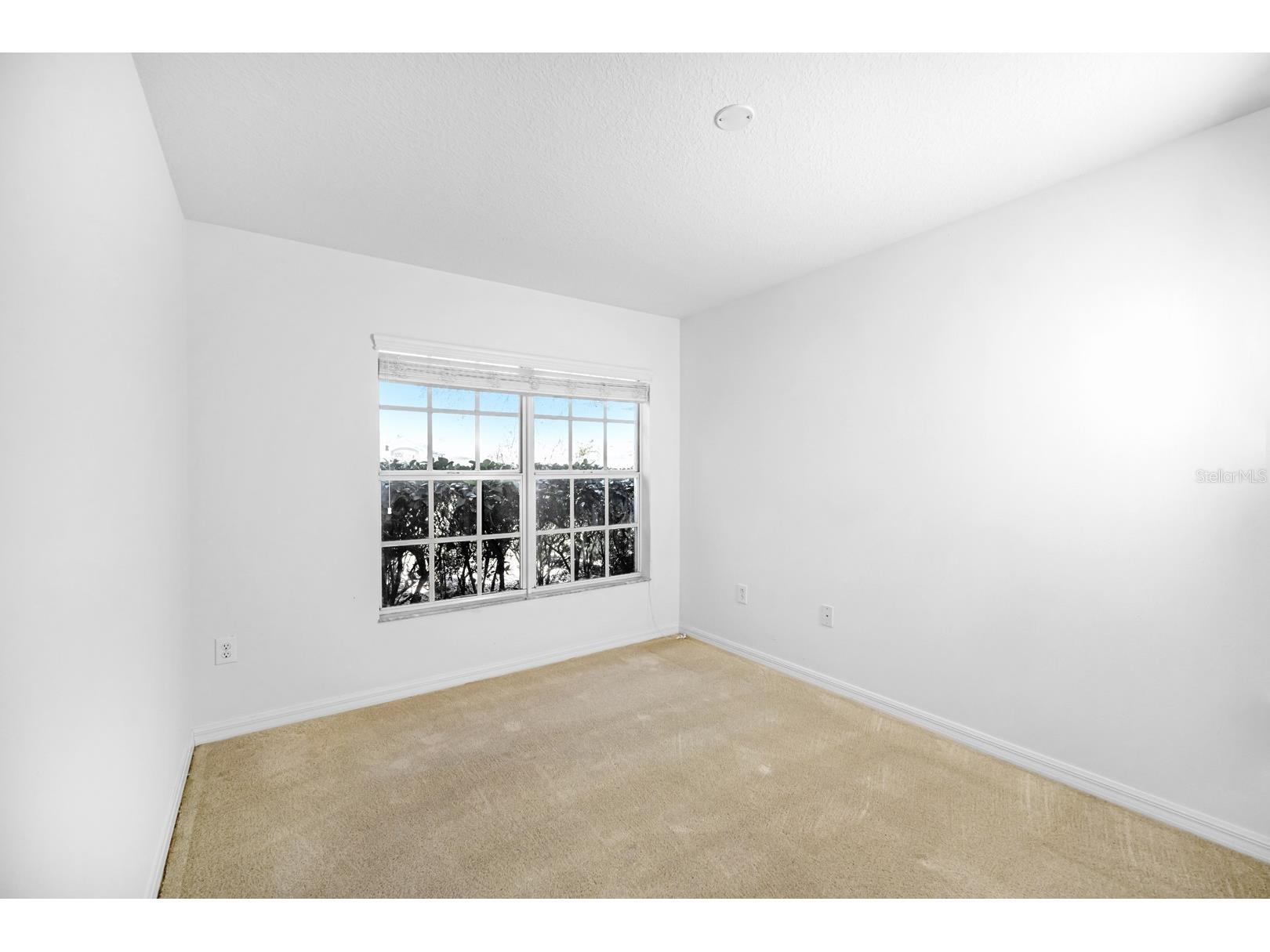 19438 Everton Place Land O Lakes FL 34638 TB8441920 image24