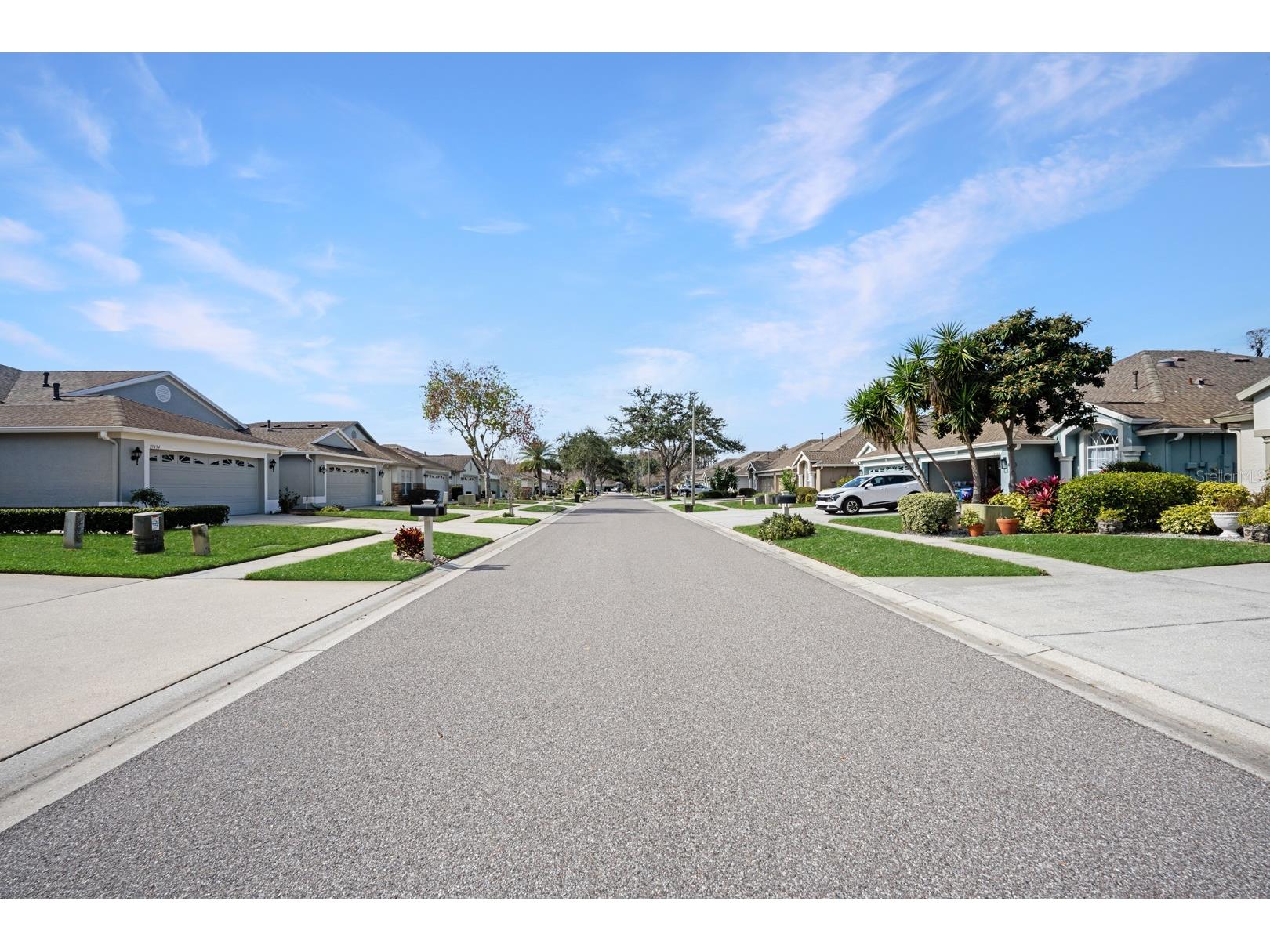 19438 Everton Place Land O Lakes FL 34638 TB8441920 image38