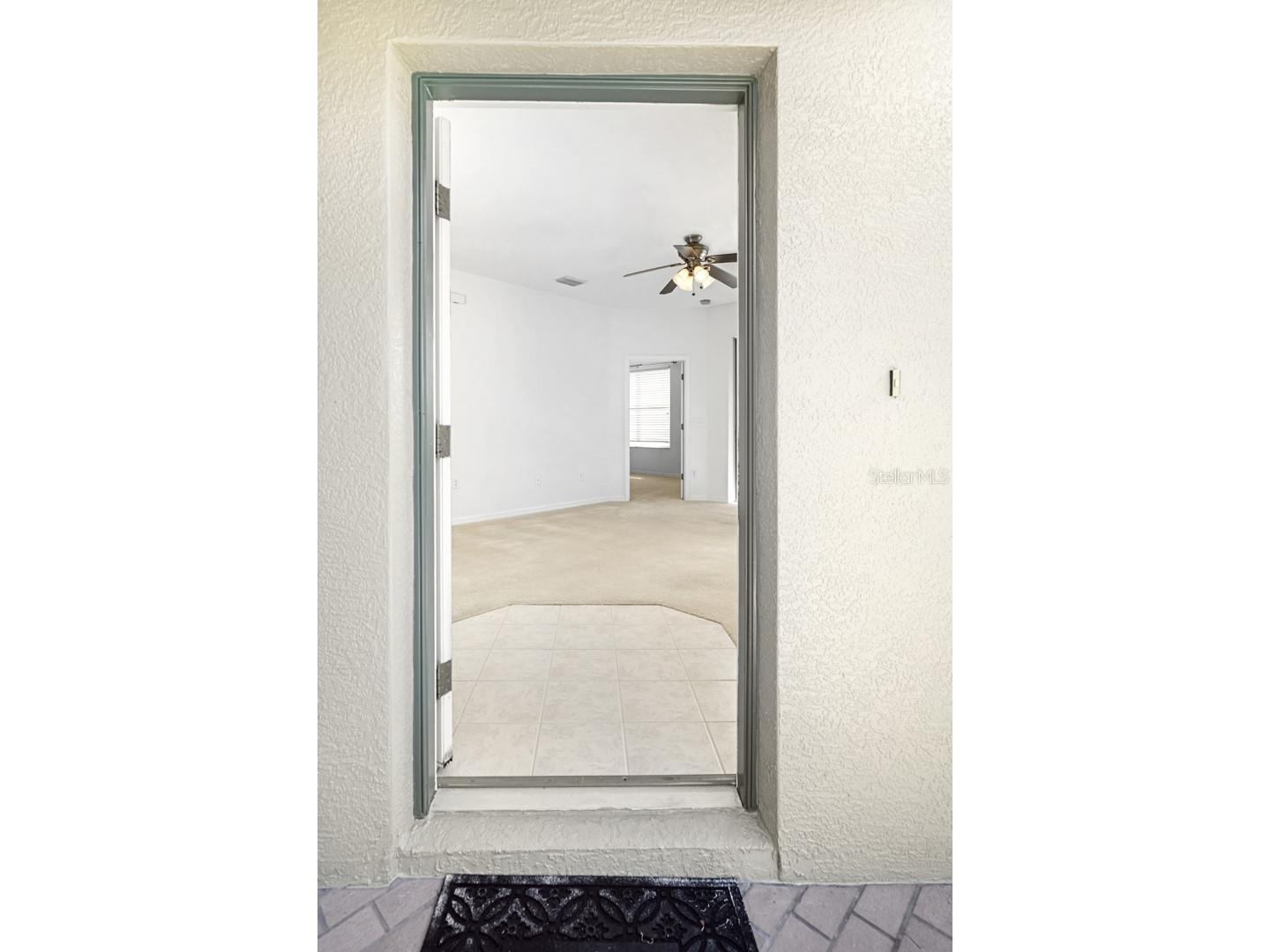 19438 Everton Place Land O Lakes FL 34638 TB8441920 image7