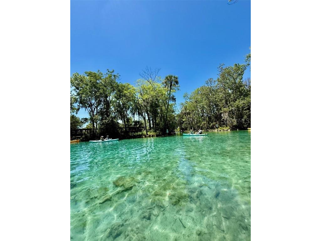 19439 SW 101st Place Road Dunnellon FL 34432 OM712510 image48