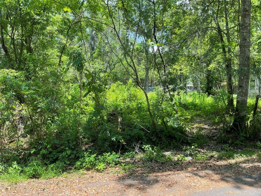 19439 Wildwood Drive Brooksville FL 34601 A4573421 image1