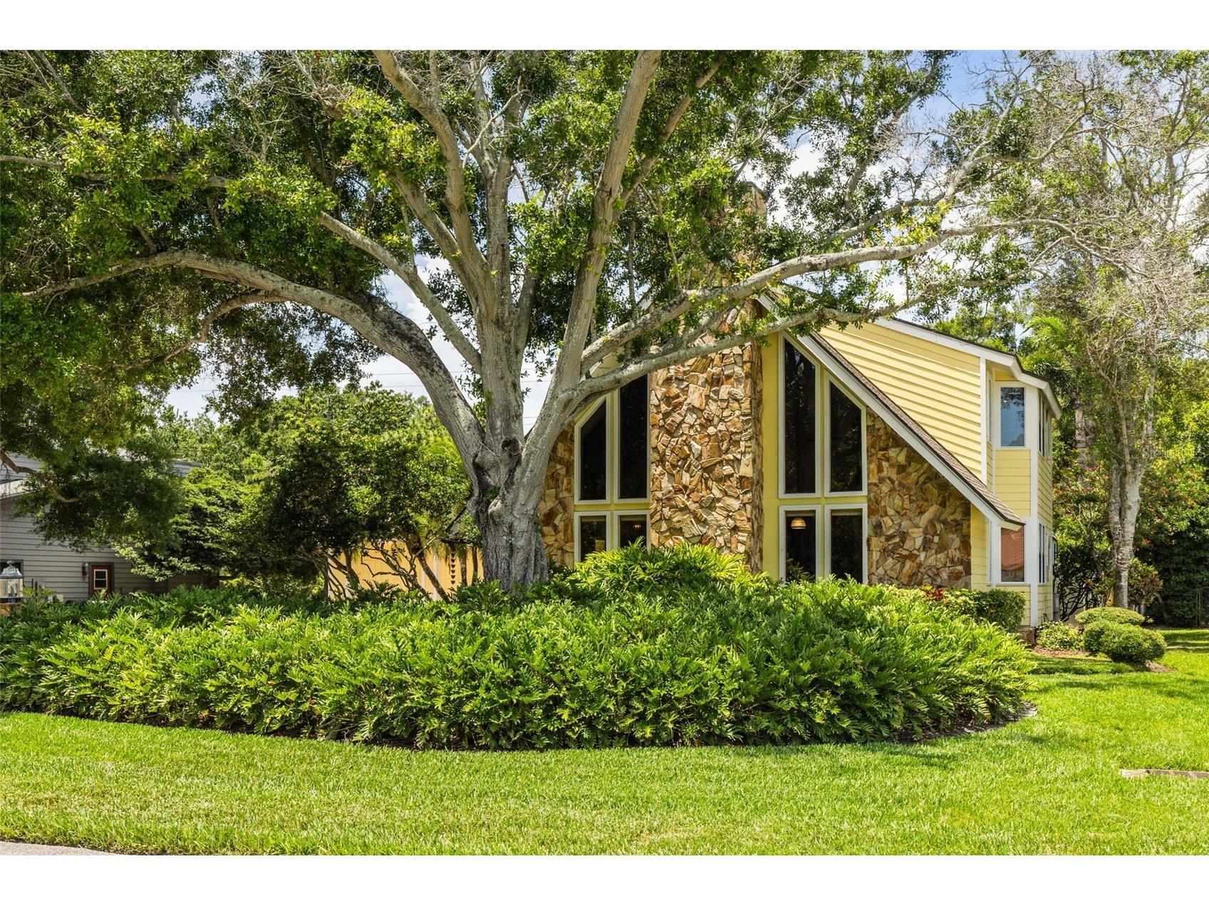 1944 Levine Lane Clearwater FL 33760 O6408546 image7