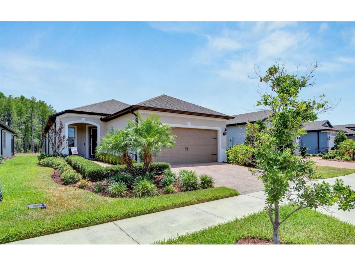 19440 Ship Wheel Way Land O Lakes FL 34638 S5105844 image1