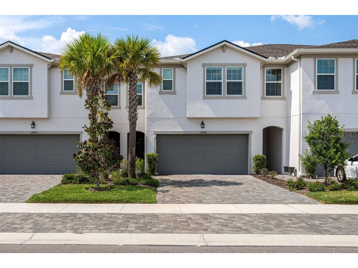 19441 Blue Pond Drive Lutz FL 33558 T3483182 image1