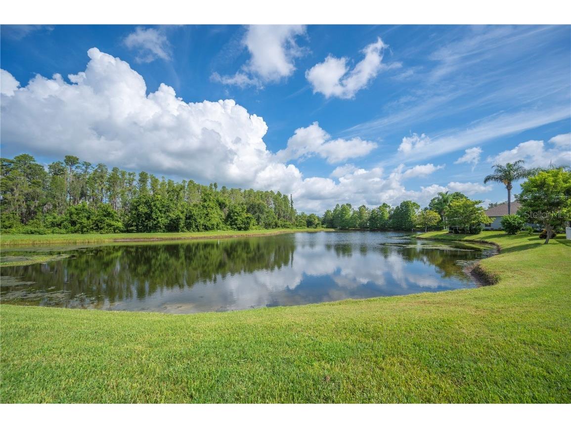 19443 Everton Place Land O Lakes FL 34638 TB8410204 image1